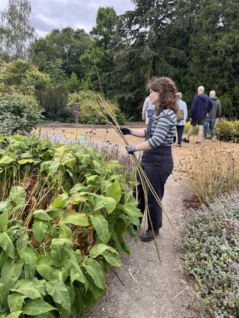 Weekly catchup with garden and propagation