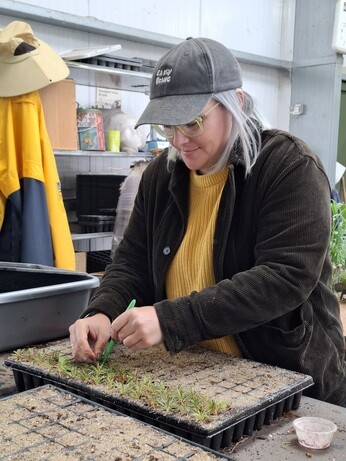 Weekly catch up with garden and propagation