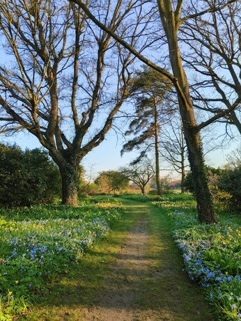 My Year as a Trainee at Beth Chatto Plants & Gardens