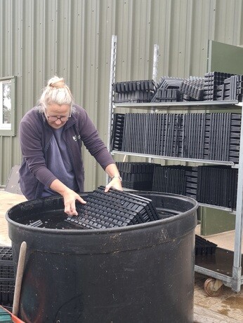 Weekly catchup with garden and propagation