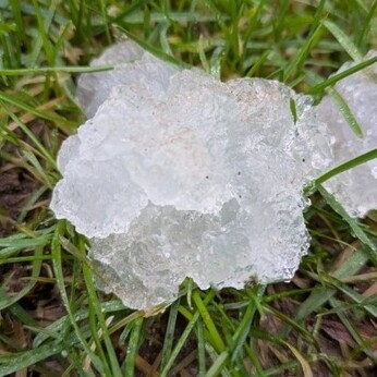 Wild Words from the Ground - December/January