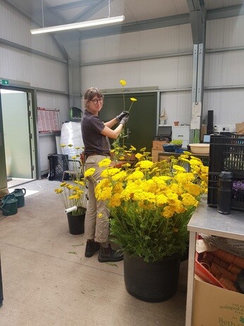 Weekly catch up with garden & propagation