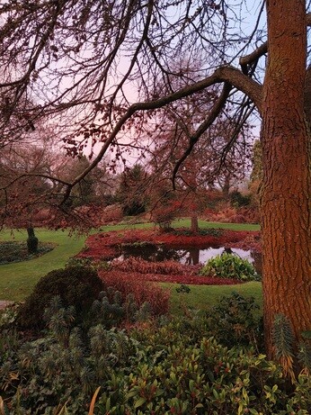 My Year as a Trainee at Beth Chatto Plants & Gardens
