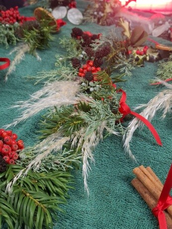 Weekly catch up with garden & propagation