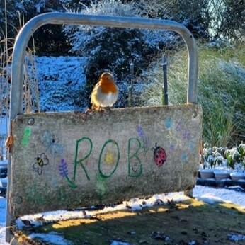 Wild Words from the Ground - December/January