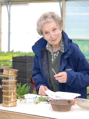 Propagation Expert Emily's Favourite Tools Propagation Expert Emily's Favourite Tools