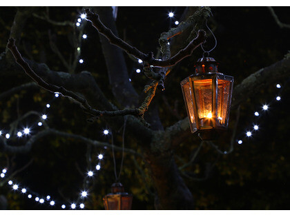 The Beth Chatto Christmas Fayre 26 & 27th November