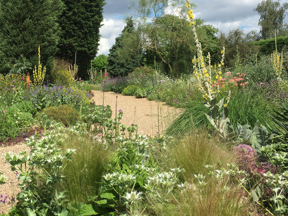 Top 10 plants for Autumn Interest