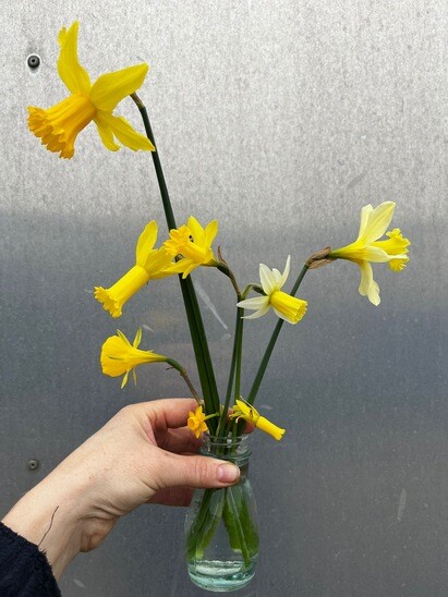 Weekly catch up with garden & propagation