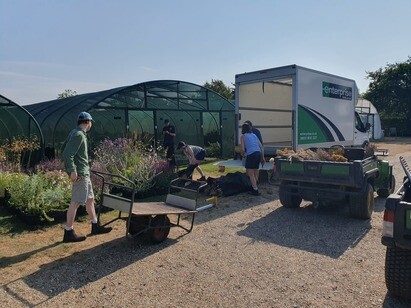 Weekly catch up with garden and propagation Weekly catch up with garden and propagation