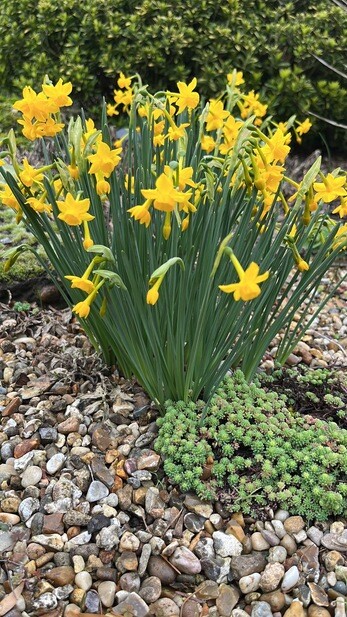 Weekly catch up with garden & propagation