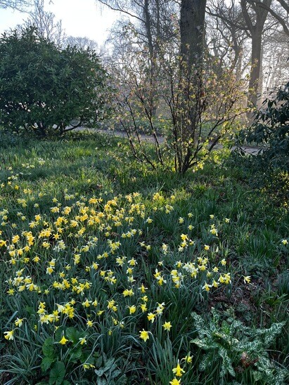 Weekly catch up with garden & propagation