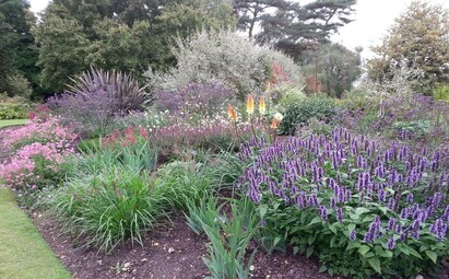 THE OLD RESERVOIR GARDEN