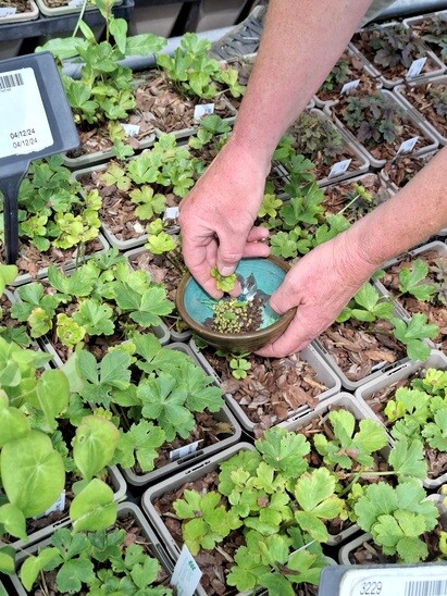 Weekly catch up with propagation