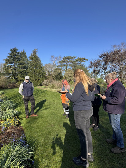 Weekly catch up with garden & propagation