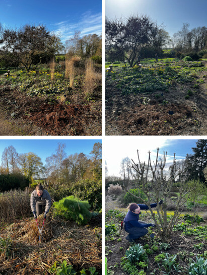 Weekly catch up with garden & propagation