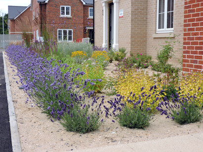 Planting at Chattowood Housing Development