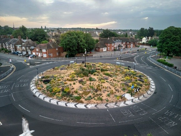 Planting on the Albert roundabout Planting on the Albert roundabout