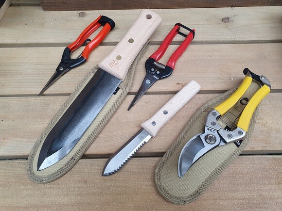 Our Propagation Expert Emily's Favourite Tools