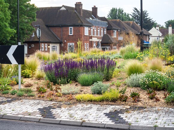 Planting on the Albert roundabout Planting on the Albert roundabout