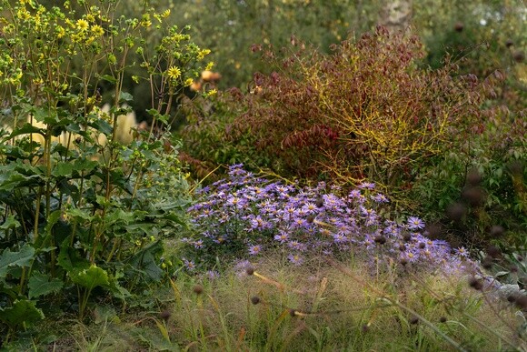 Wild Words from the Ground - September Wild Words from the Ground - September