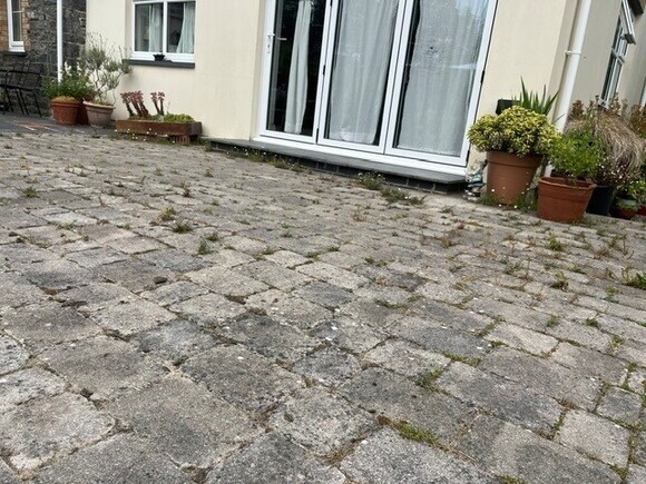Gardening Dilemmas - Part 2 Gardening Dilemmas - Part 2
