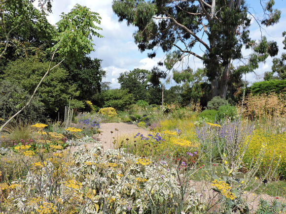 Gravel Garden Creation and Maintenance Gravel Garden Creation and Maintenance