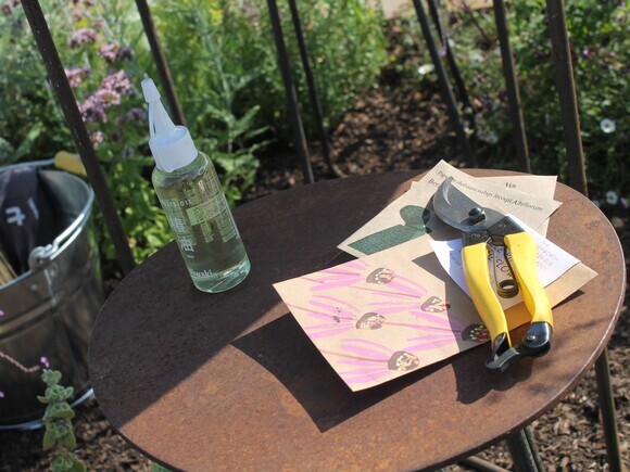 Growing with Many Hands - RHS Sandringham Flower Show 2026 Growing with Many Hands - RHS Sandringham Flower Show 2026