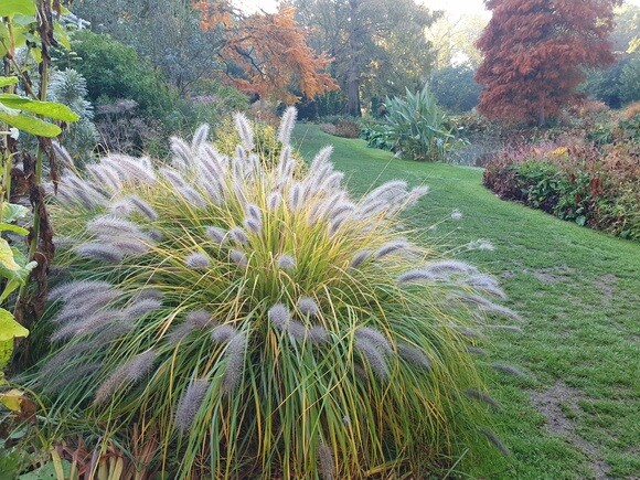 Late October Glory