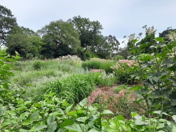 Weekly catch up with garden & propagation