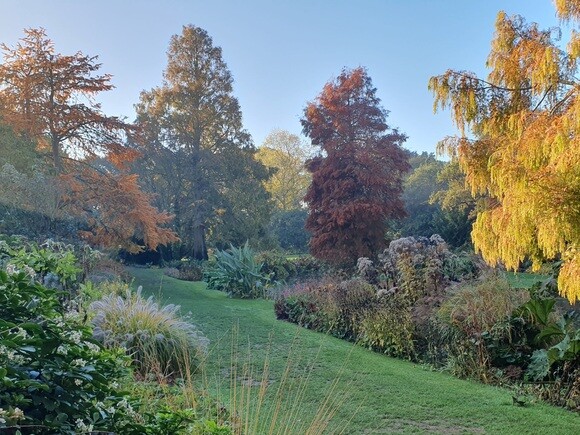 Late October Glory
