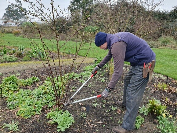 Our favourite garden tools 