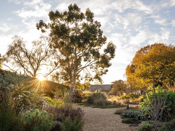 Wild Words from the Ground - November