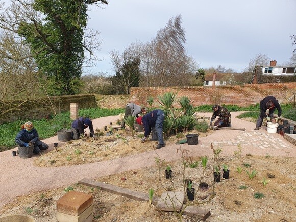 Weekly catch up with garden & propagation