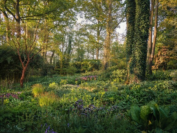 Weekly catch up with gardens & propagation