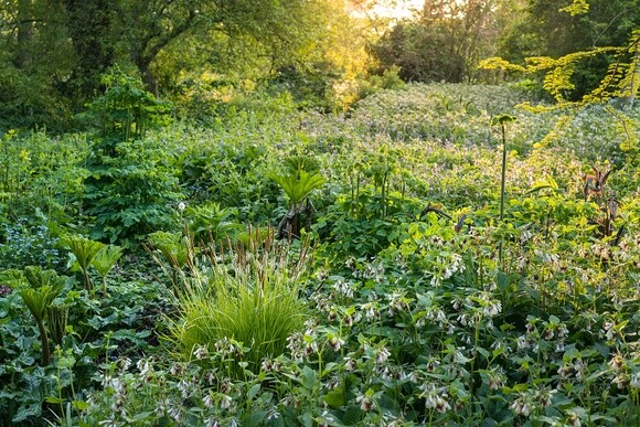 Autumn Planting: helping gardeners adapt to a changing climate