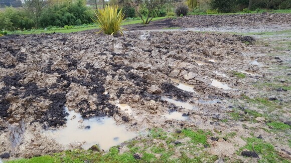 Reservoir Garden rejuvenation Reservoir Garden rejuvenation