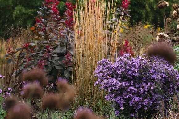 Wild Words from the Ground - October Wild Words from the Ground - October