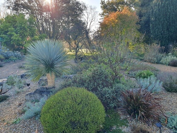 Late October Glory