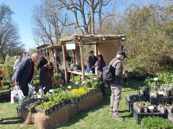 Luminous euphorbias and the fabulous Great Dixter Spring Plant Fair Luminous euphorbias and the fabulous Great Dixter Spring Plant Fair