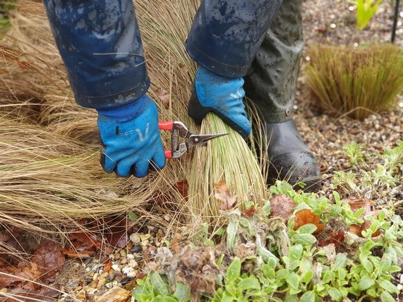 Our favourite garden tools 