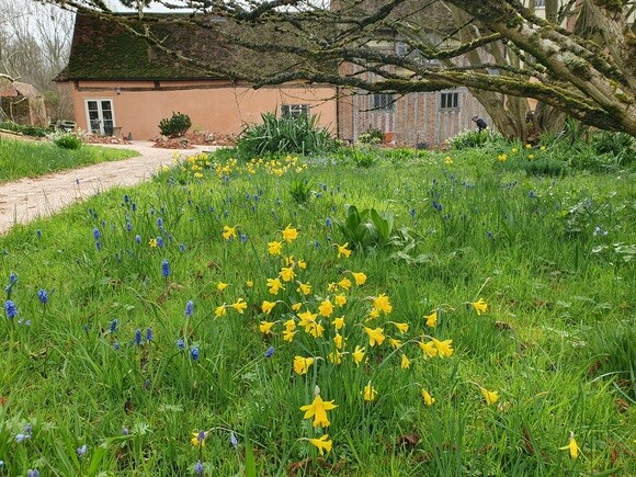 Garden connections planting at Benton End Garden connections planting at Benton End
