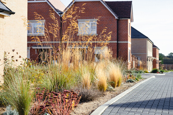 Chattowood and its insects: the first four years