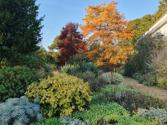 Late October Glory