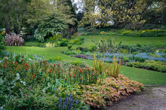 Luminous euphorbias and the fabulous Great Dixter Spring Plant Fair Luminous euphorbias and the fabulous Great Dixter Spring Plant Fair