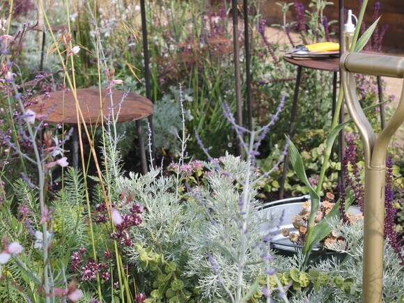 Growing with Many Hands - RHS Sandringham Flower Show 2026 Growing with Many Hands - RHS Sandringham Flower Show 2026