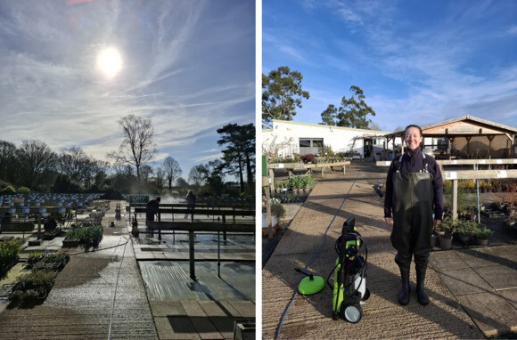 Weekly catch up with garden & propagation