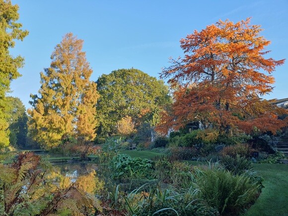 Late October Glory