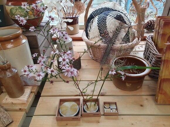 Our Propagation Expert Emily's Favourite Tools