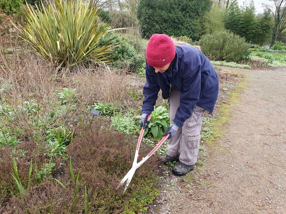 Our favourite garden tools 